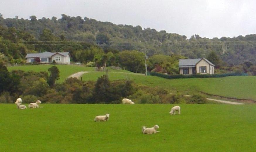 Hilltop Accommodation Catlins Papatowai 외부 사진