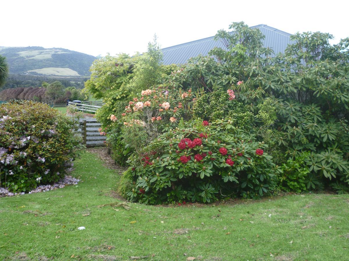 Hilltop Accommodation Catlins Papatowai 외부 사진
