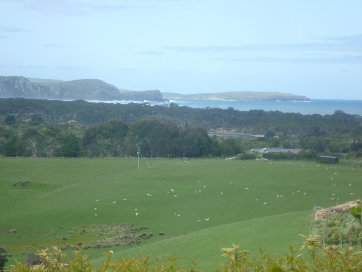 Hilltop Accommodation Catlins Papatowai 외부 사진