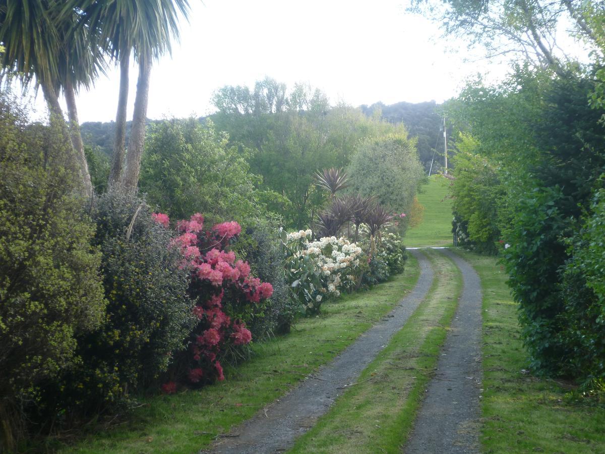 Hilltop Accommodation Catlins Papatowai 외부 사진